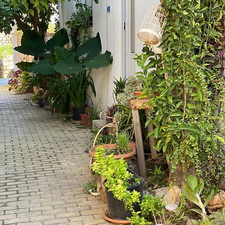 Grandmother'S House فاماغوستا المظهر الخارجي الصورة