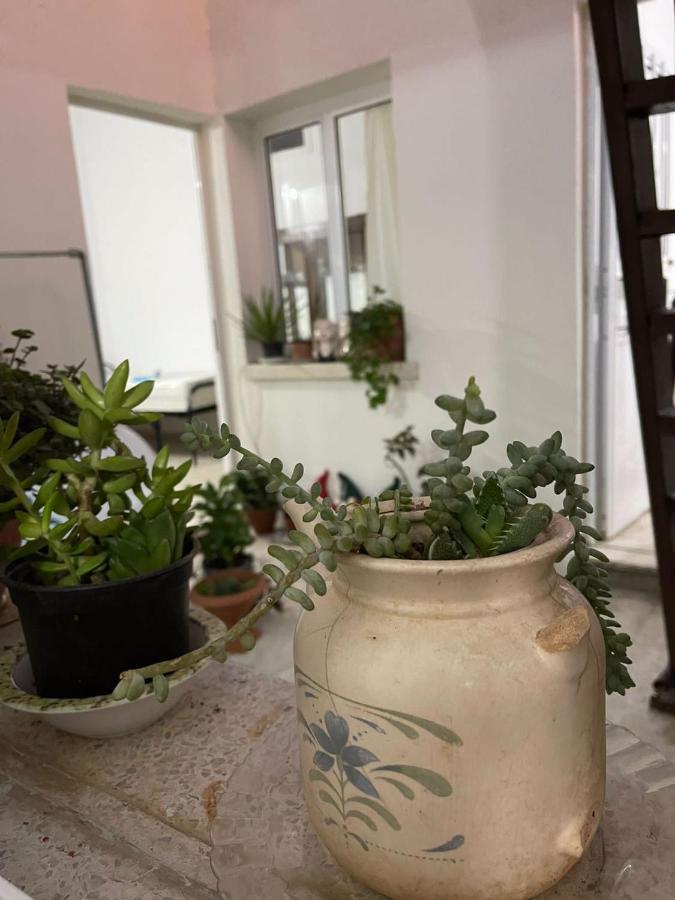 Grandmother'S House فاماغوستا المظهر الخارجي الصورة